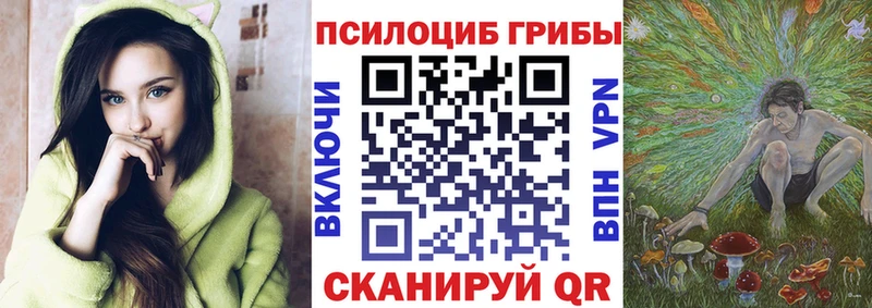 omg маркетплейс  Курлово  Галлюциногенные грибы Psilocybe  наркота 